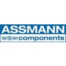 Assmann